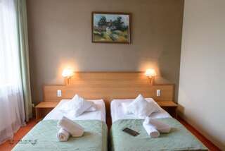 Отель Hotel Rivulus Бая-Маре Двухместный номер с 2 отдельными кроватями-8